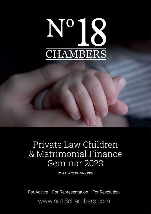 Private Law Children & Matrimonial Finance Seminar 2023 Image