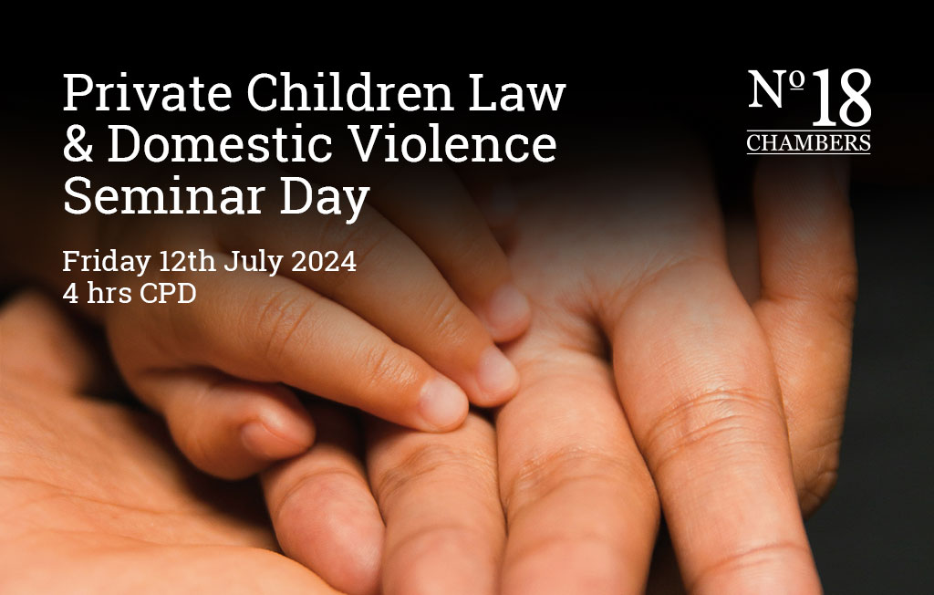 Private Children Law & Domestic Violence Seminar Day Image